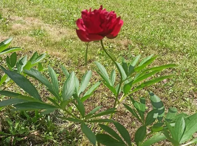 Casa Furia بيت للعطل Ponte della Venturina