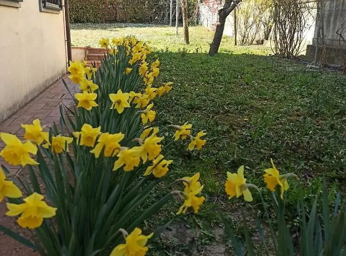 Casa Furia * Ponte della Venturina
