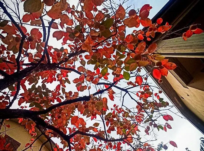 Casa Furia بيت للعطل *